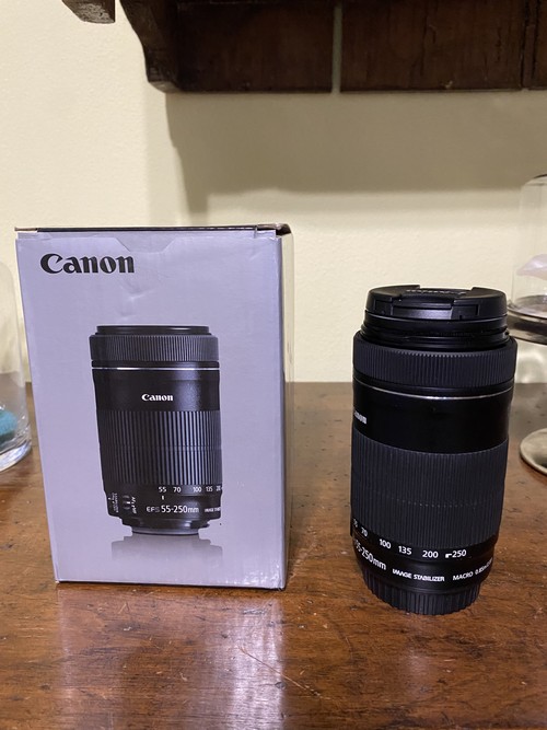 Canon EF-S 55-250mm f/4-5.6 IS STM