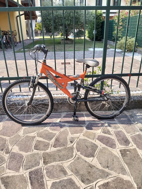 Mountain bike 