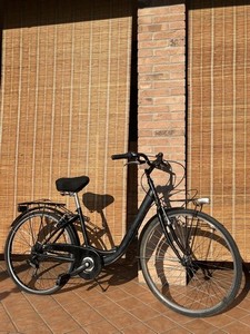 Bici Donna