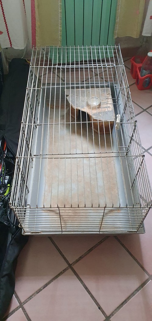gabbia per cavia/coniglio
