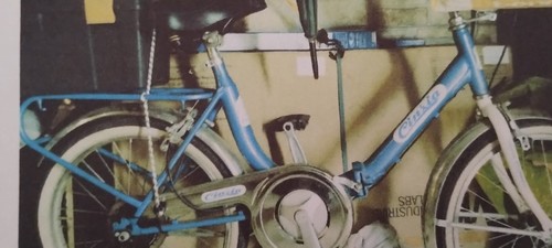 Bicicletta tipo Graziella