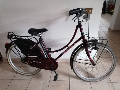 Bicicletta da donna