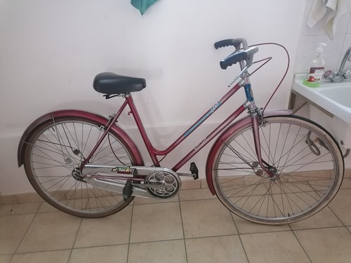 Bicicletta da donna 
