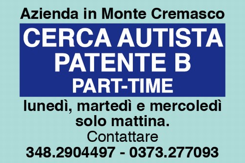 Cerca Autista patente B