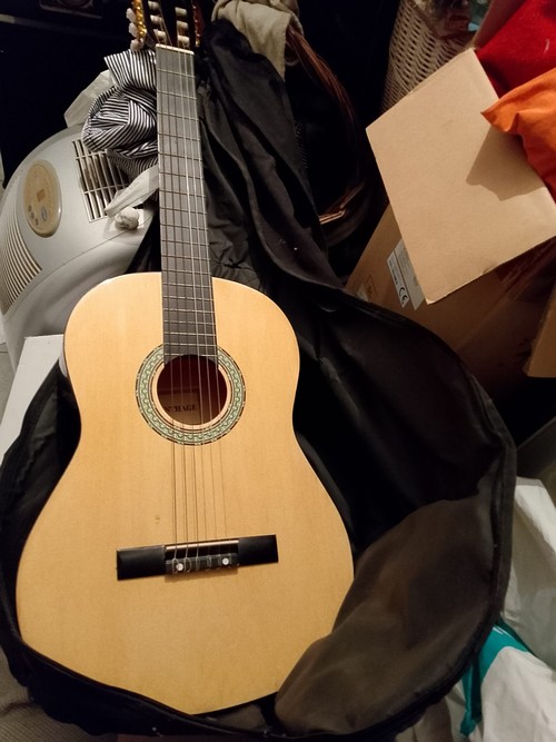 chitarra con custodia