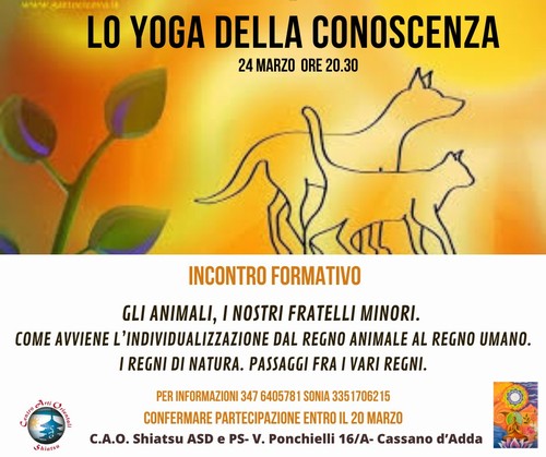 GLI ANIMALI, I NOSTRI FRATELLI MINORI