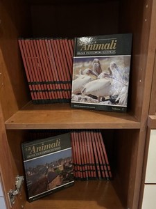 Enciclopedia 