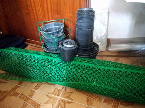 Regalo vasi plastica, rete verde, segatura