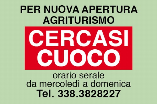 CERCASI CUOCO