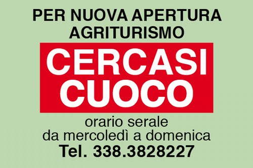 CERCASI CUOCO