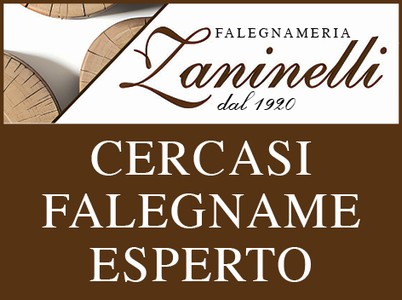 cercasi falegname esperto