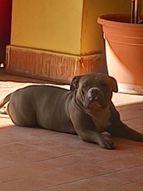  RiNUNCIA  DI PROPRIET�    Lei  � NADY