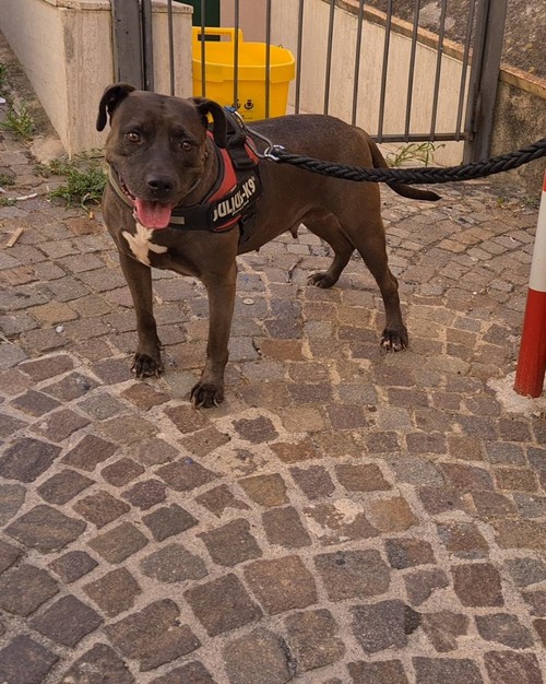 OXANA 9 ANNI DI CUI 8 IN CASA . BUONISSIMA PIT