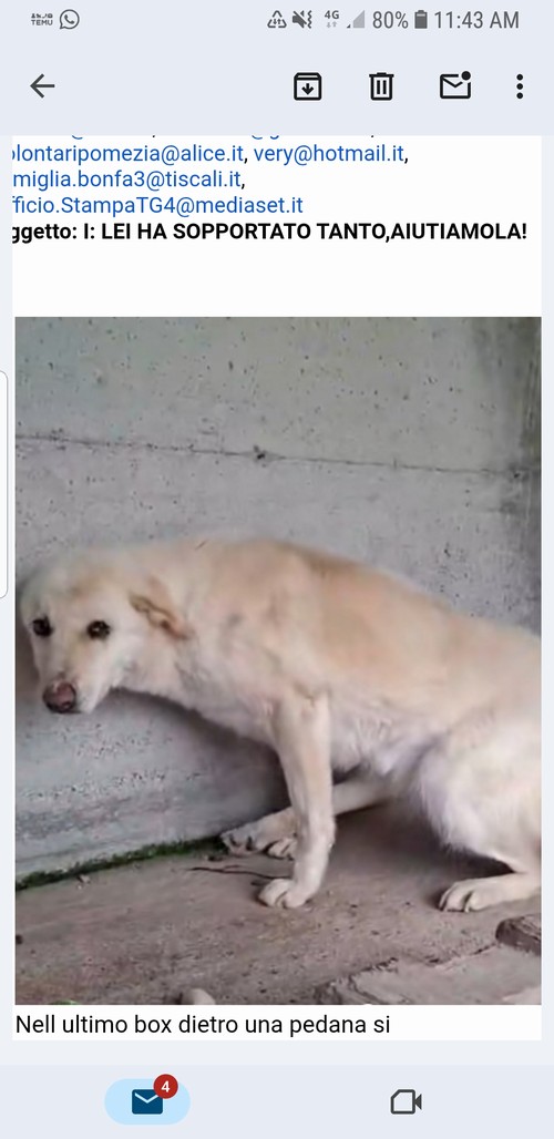 FEMMINA ANZIANA E SENZA  NOME