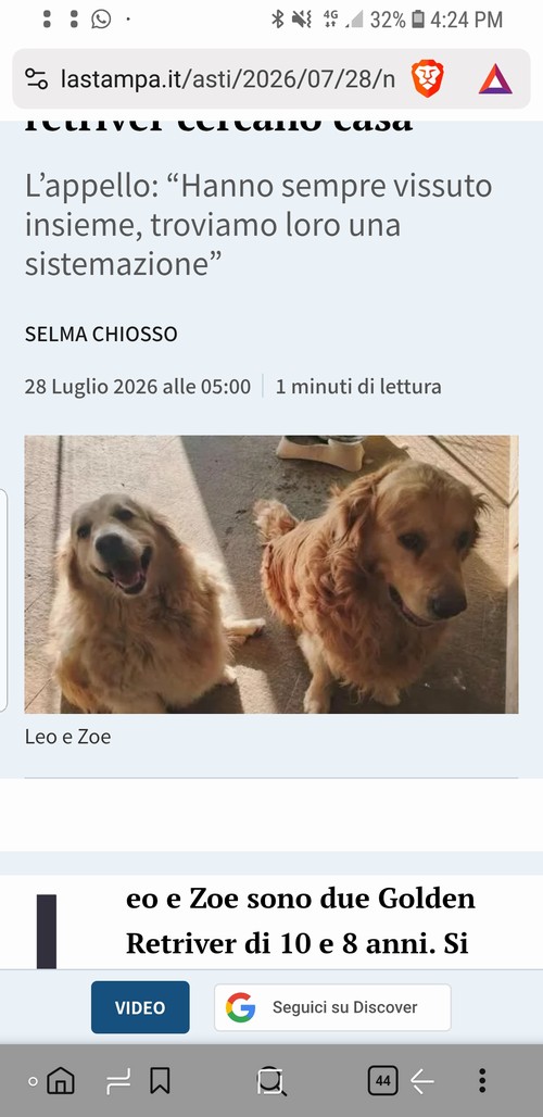 Leo e Zoe sono due Golden Retriever di 10 e 8 anni