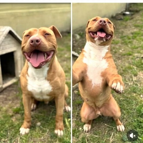 Ciro, 3 anni
