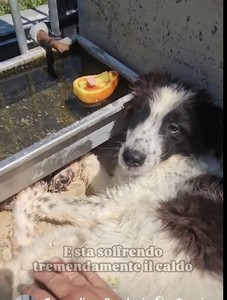  E' SFINITO,IL CEMENTO E' BOLLENTE! HA SOLO 4 MESI