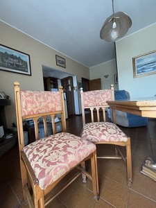 6 Sedie da sala