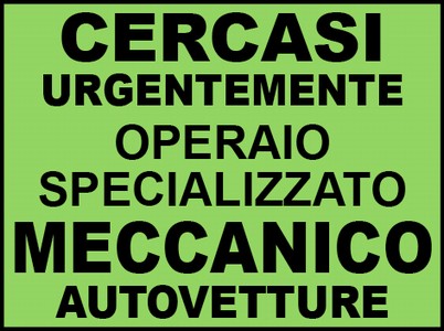 CERCASI MECCANICO AUTOVETTURE