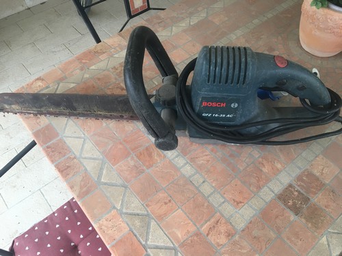 Segaccio bosch